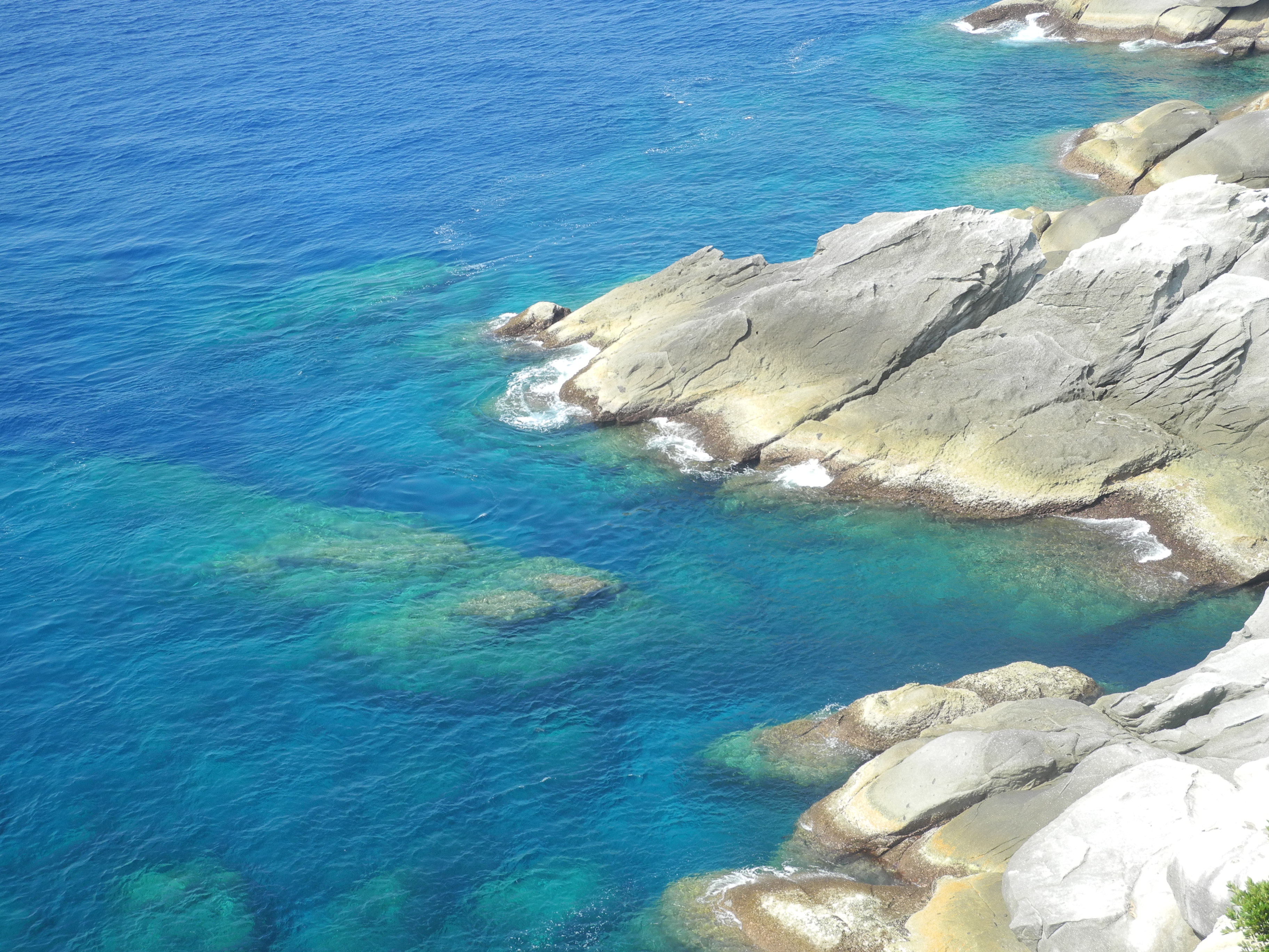 http://greenmessenger-yakushima.com/blog/DSCN4751.JPG