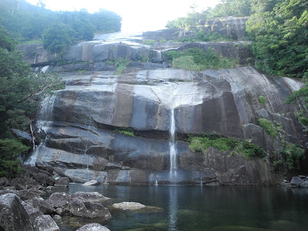 http://greenmessenger-yakushima.com/blog/DSCN4828.JPG