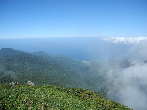 http://greenmessenger-yakushima.com/blog/DSCN4843.JPG