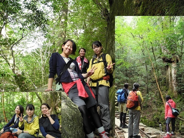 http://greenmessenger-yakushima.com/blog/DSCN4931.JPG