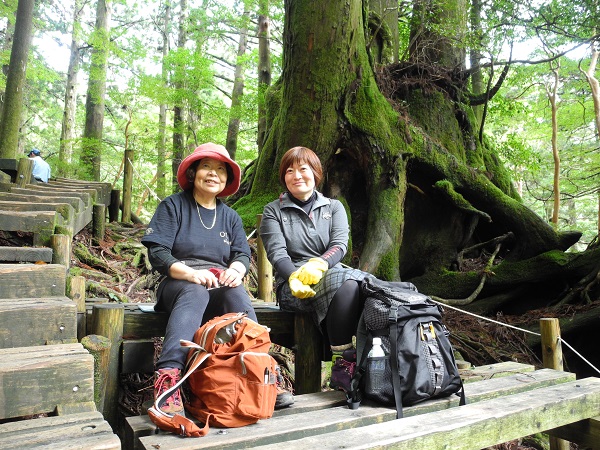 http://greenmessenger-yakushima.com/blog/DSCN4955.JPG