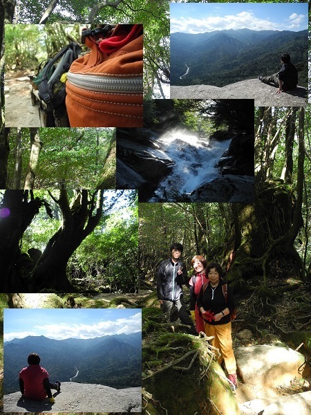 http://greenmessenger-yakushima.com/blog/DSCN4956.JPG