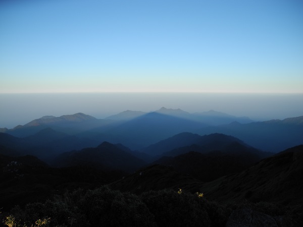 http://greenmessenger-yakushima.com/blog/DSCN5015.JPG