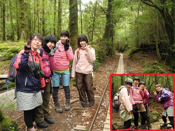 http://greenmessenger-yakushima.com/blog/DSCN5499.JPG