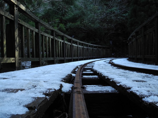 http://greenmessenger-yakushima.com/blog/DSCN5513.JPG