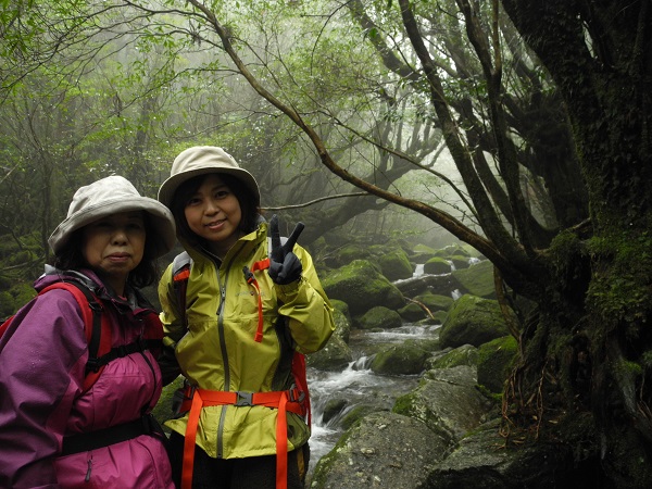 http://greenmessenger-yakushima.com/blog/DSCN5524.JPG