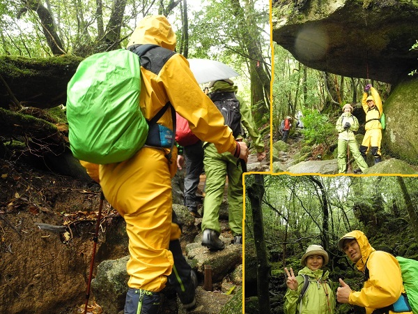 http://greenmessenger-yakushima.com/blog/DSCN5821.JPG