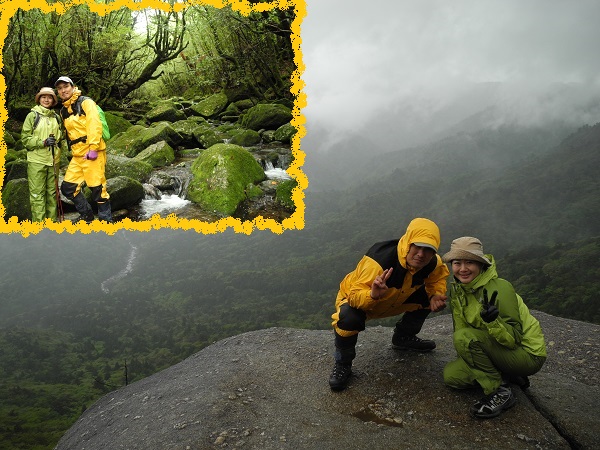 http://greenmessenger-yakushima.com/blog/DSCN5824.JPG