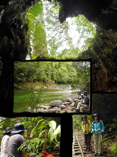 http://greenmessenger-yakushima.com/blog/DSCN5833.JPG