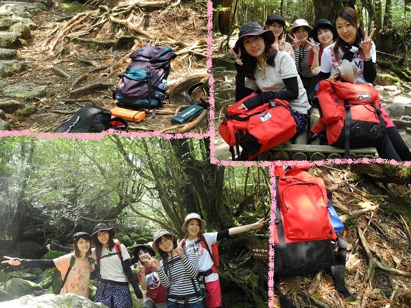 http://greenmessenger-yakushima.com/blog/DSCN5861.JPG