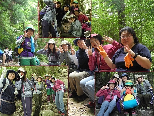 http://greenmessenger-yakushima.com/blog/DSCN5998.JPG