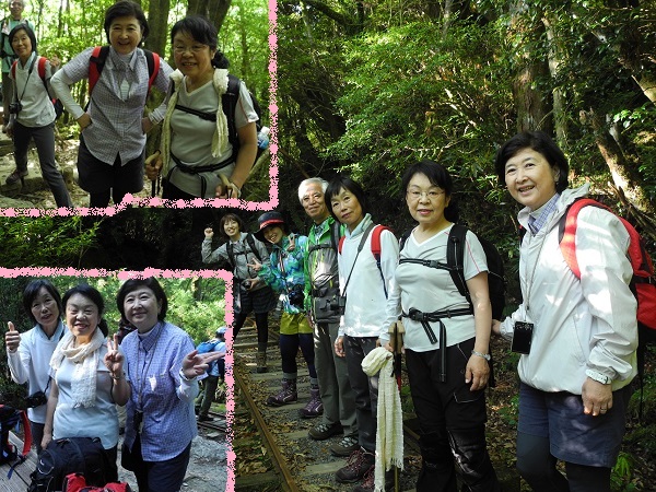 http://greenmessenger-yakushima.com/blog/DSCN6246.JPG