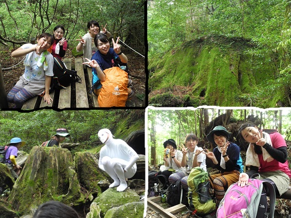 http://greenmessenger-yakushima.com/blog/DSCN6431.JPG