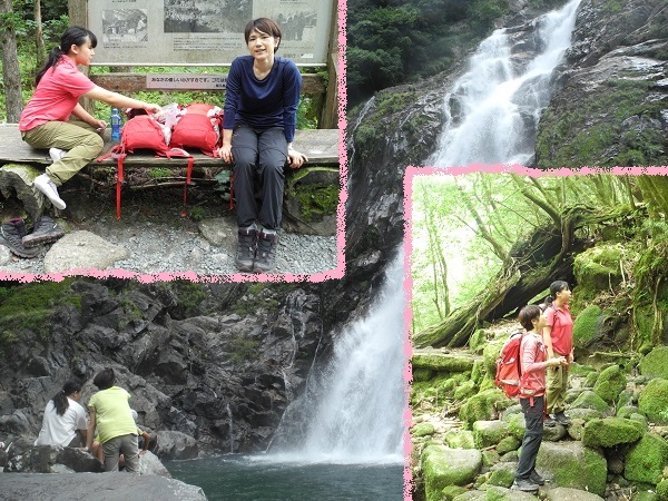 http://greenmessenger-yakushima.com/blog/DSCN6443.JPG