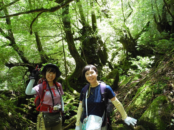 http://greenmessenger-yakushima.com/blog/DSCN6448.JPG