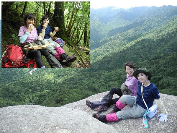 http://greenmessenger-yakushima.com/blog/DSCN6450.JPG