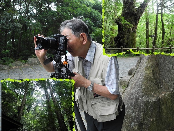 http://greenmessenger-yakushima.com/blog/DSCN6472.JPG