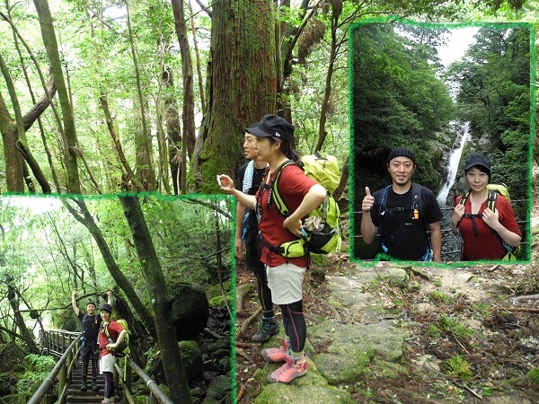 http://greenmessenger-yakushima.com/blog/DSCN6478.JPG