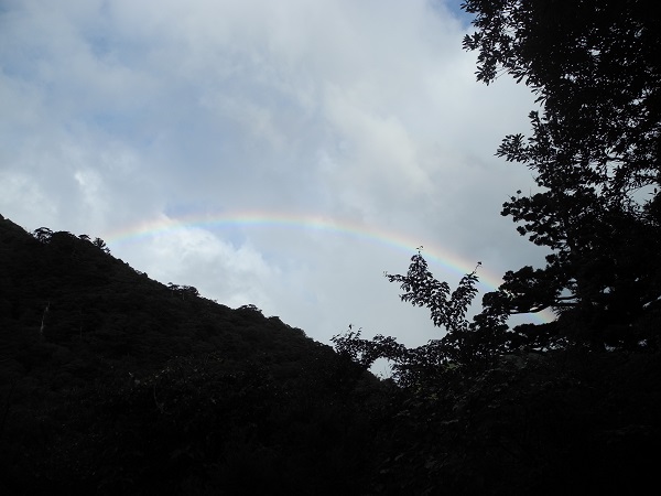 http://greenmessenger-yakushima.com/blog/DSCN6487.JPG