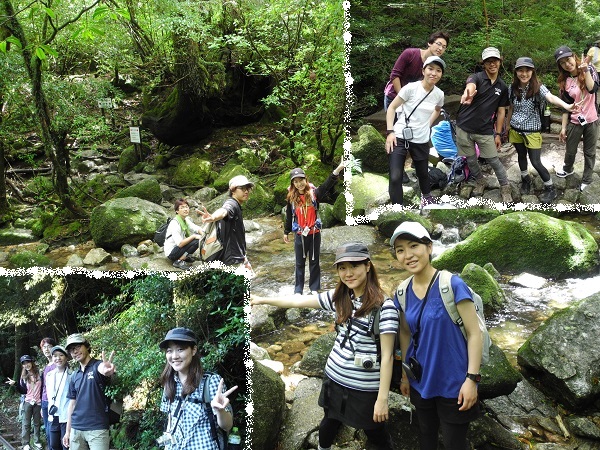 http://greenmessenger-yakushima.com/blog/DSCN6488.JPG