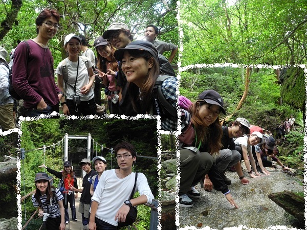 http://greenmessenger-yakushima.com/blog/DSCN6489.JPG