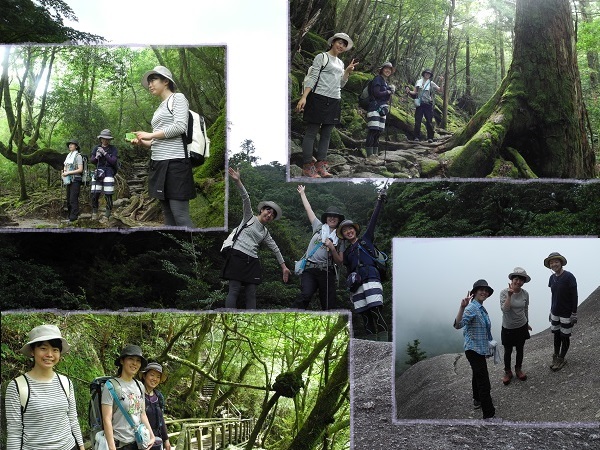 http://greenmessenger-yakushima.com/blog/DSCN6619.JPG