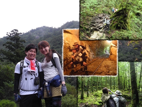 http://greenmessenger-yakushima.com/blog/DSCN6621.JPG