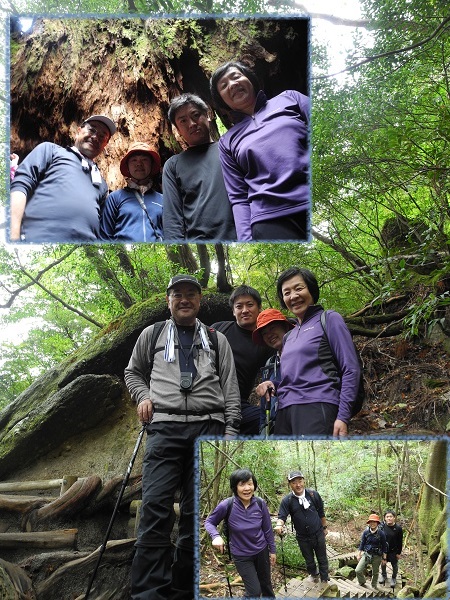 http://greenmessenger-yakushima.com/blog/DSCN6720.JPG