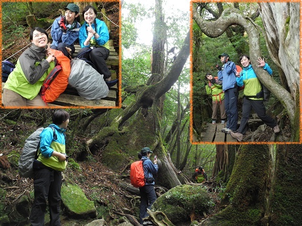 http://greenmessenger-yakushima.com/blog/DSCN6728.JPG