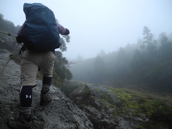 http://greenmessenger-yakushima.com/blog/DSCN6742.JPG