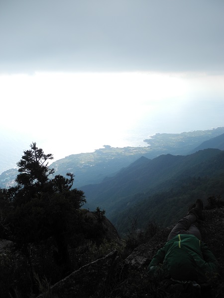 http://greenmessenger-yakushima.com/blog/DSCN6763.JPG