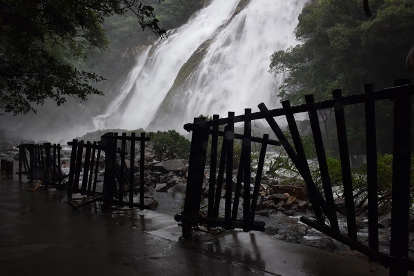 http://greenmessenger-yakushima.com/blog/DSC_0034.JPG