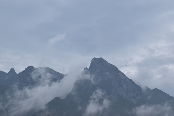 http://greenmessenger-yakushima.com/blog/DSC_0213.JPG