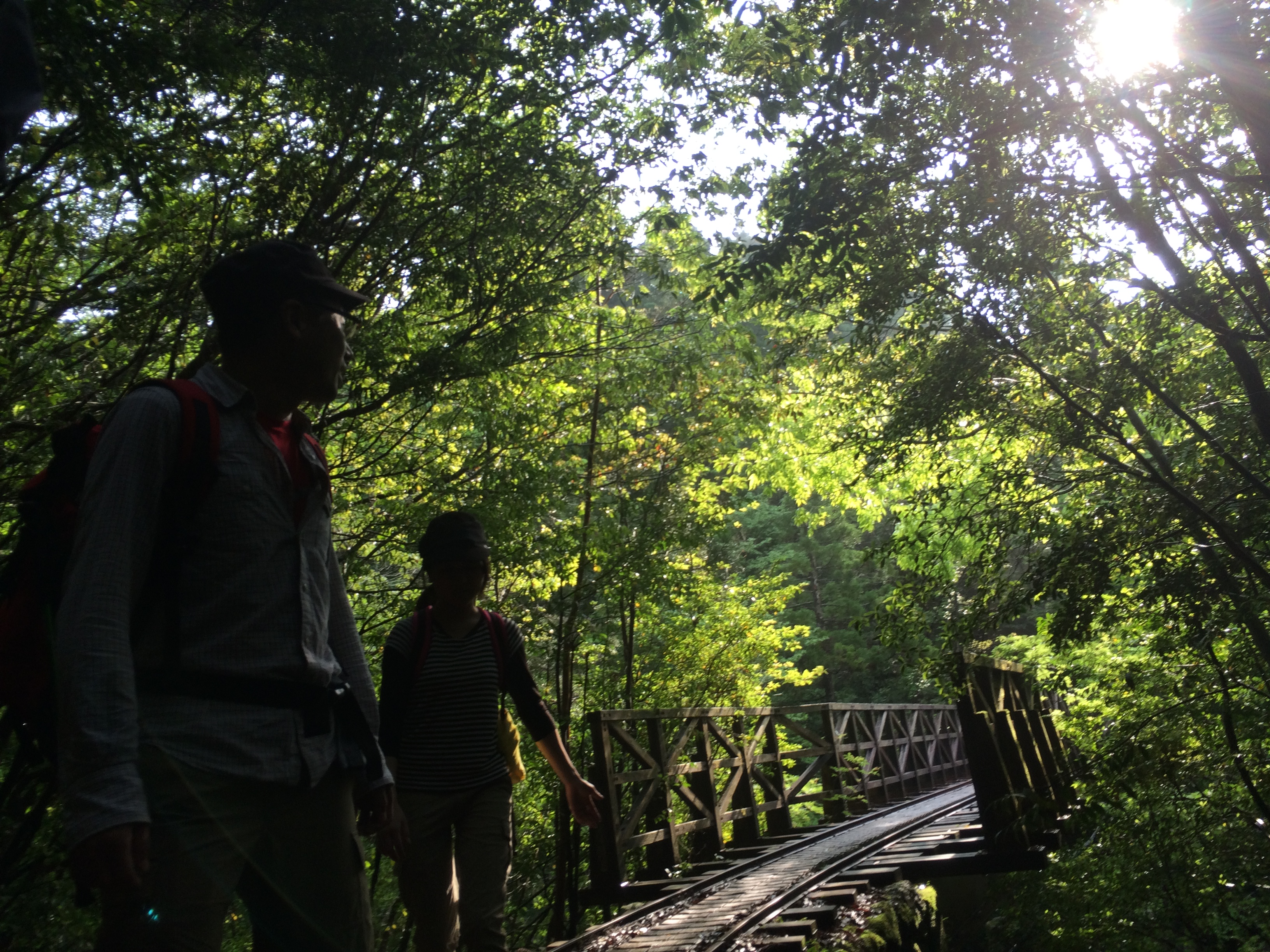 http://greenmessenger-yakushima.com/blog/IMG_5150.JPG