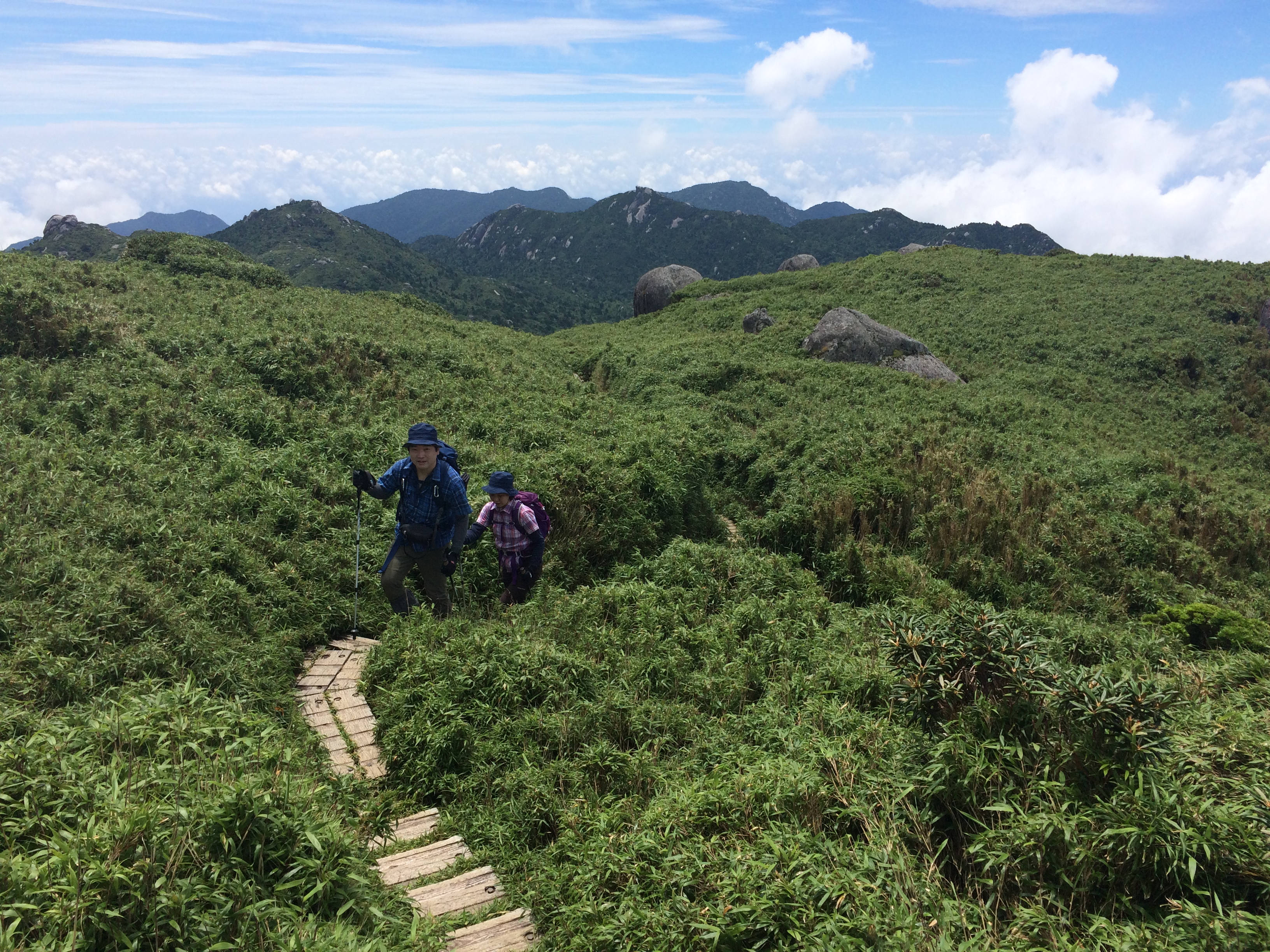 http://greenmessenger-yakushima.com/blog/IMG_5379.JPG