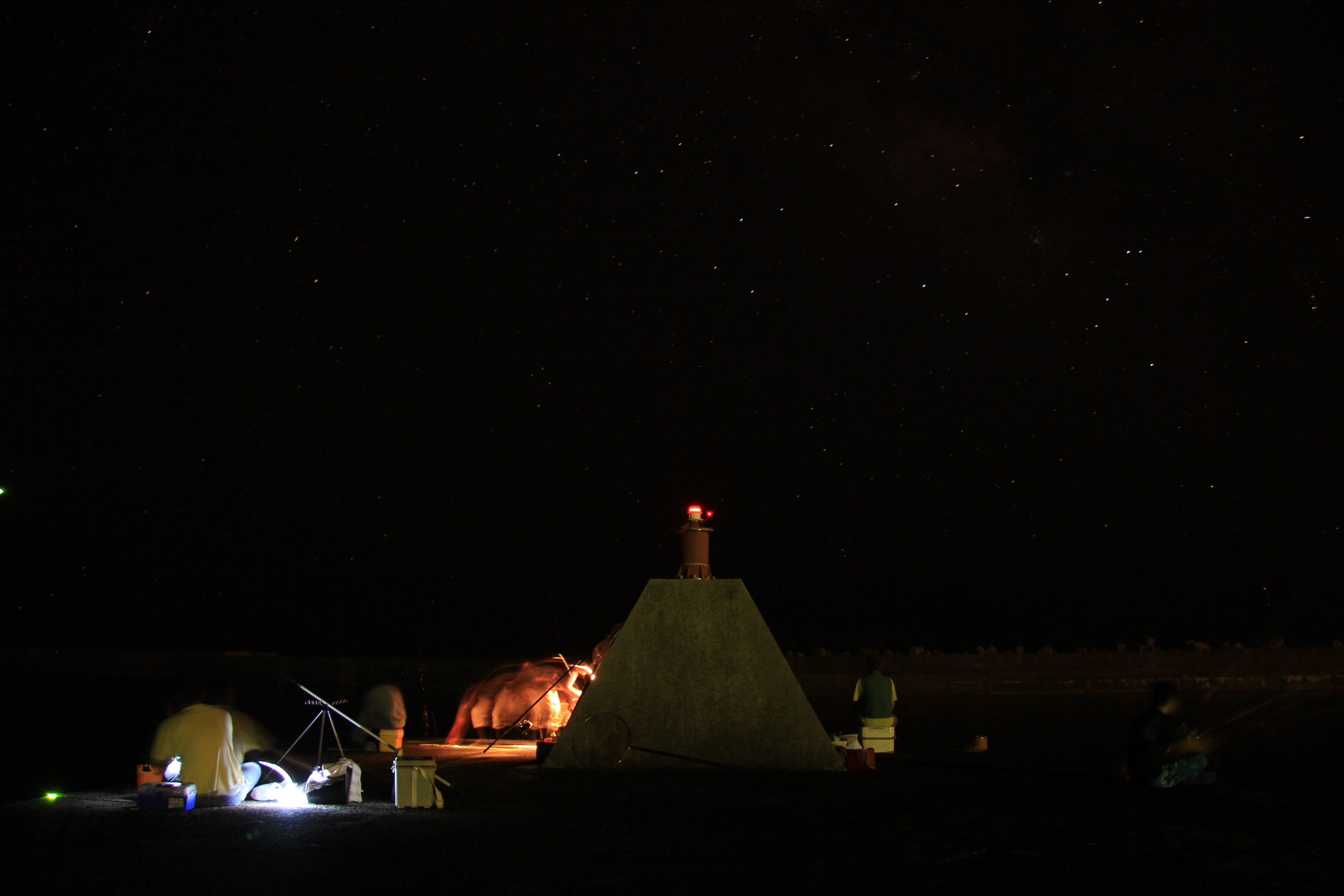 http://greenmessenger-yakushima.com/blog/IMG_7073.JPG