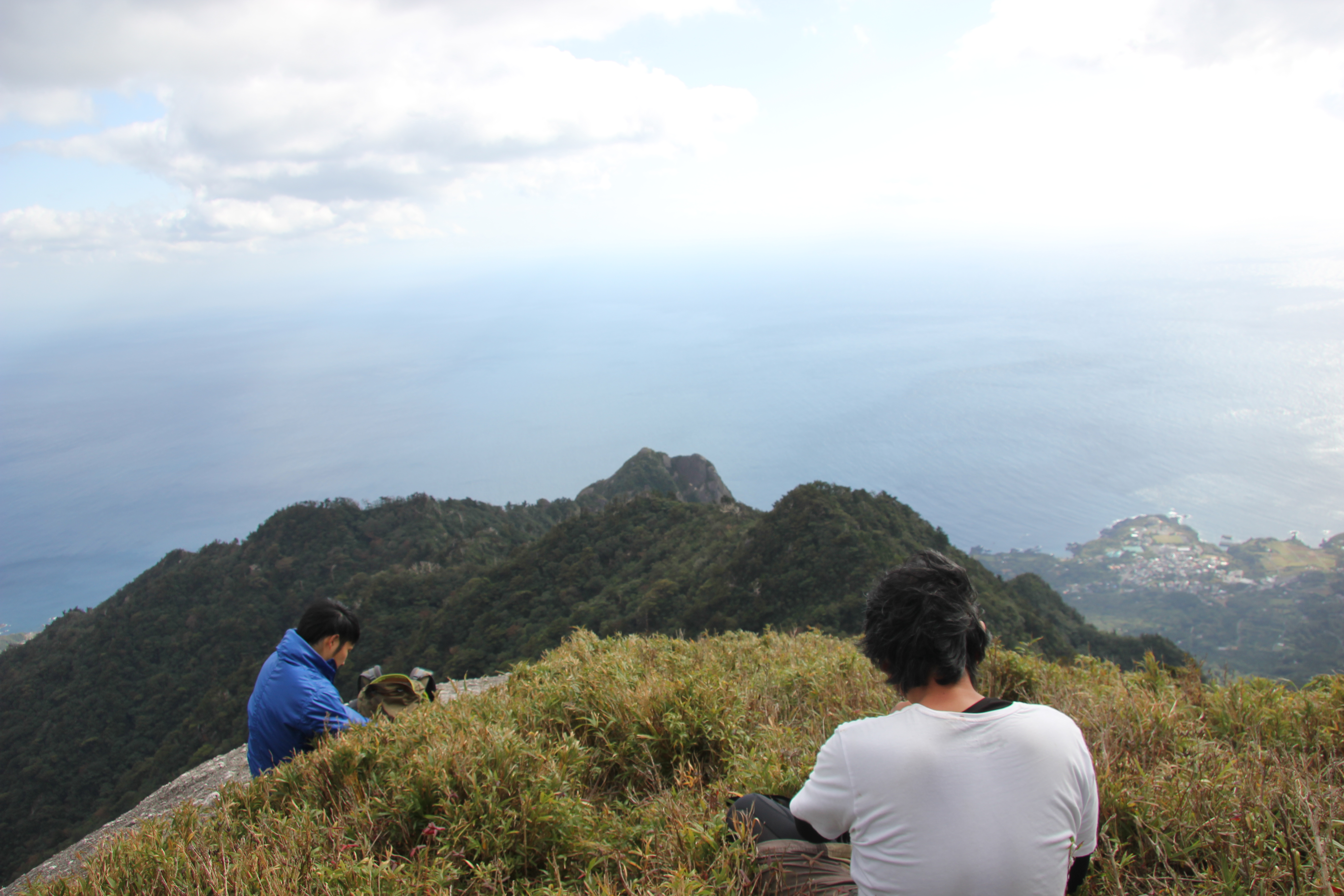 http://greenmessenger-yakushima.com/blog/IMG_7557.JPG