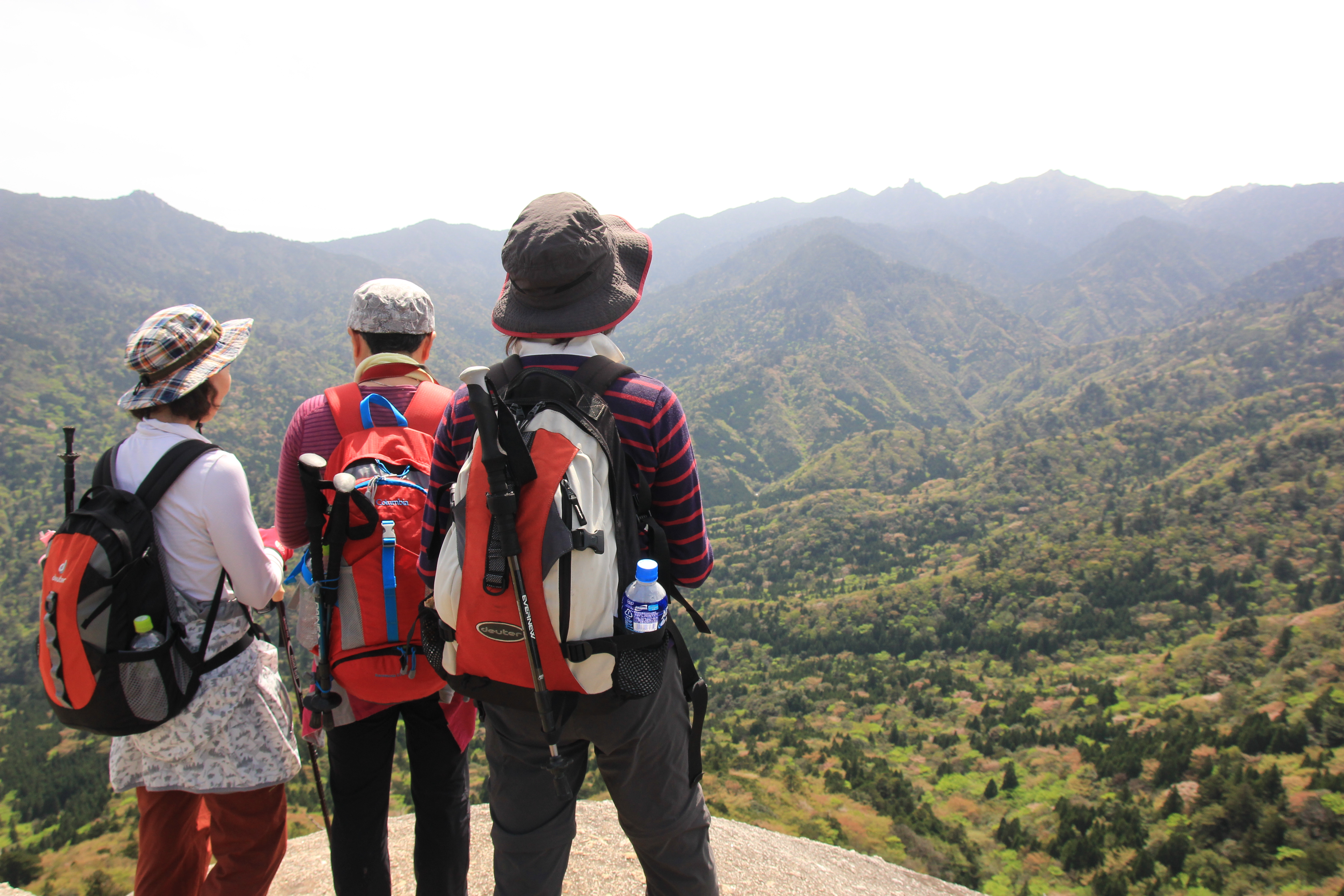 http://greenmessenger-yakushima.com/blog/IMG_8651.JPG