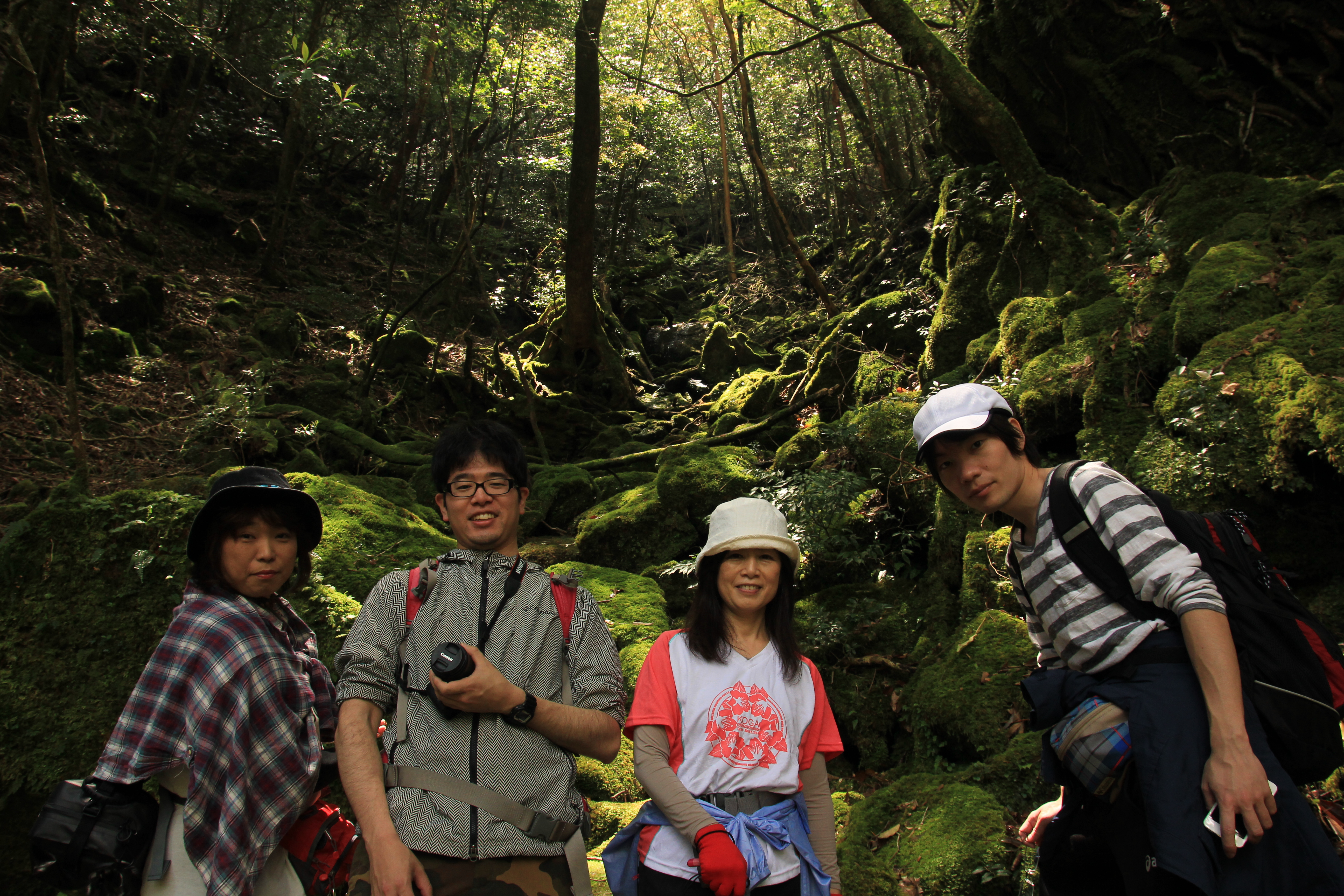 http://greenmessenger-yakushima.com/blog/IMG_8771.JPG