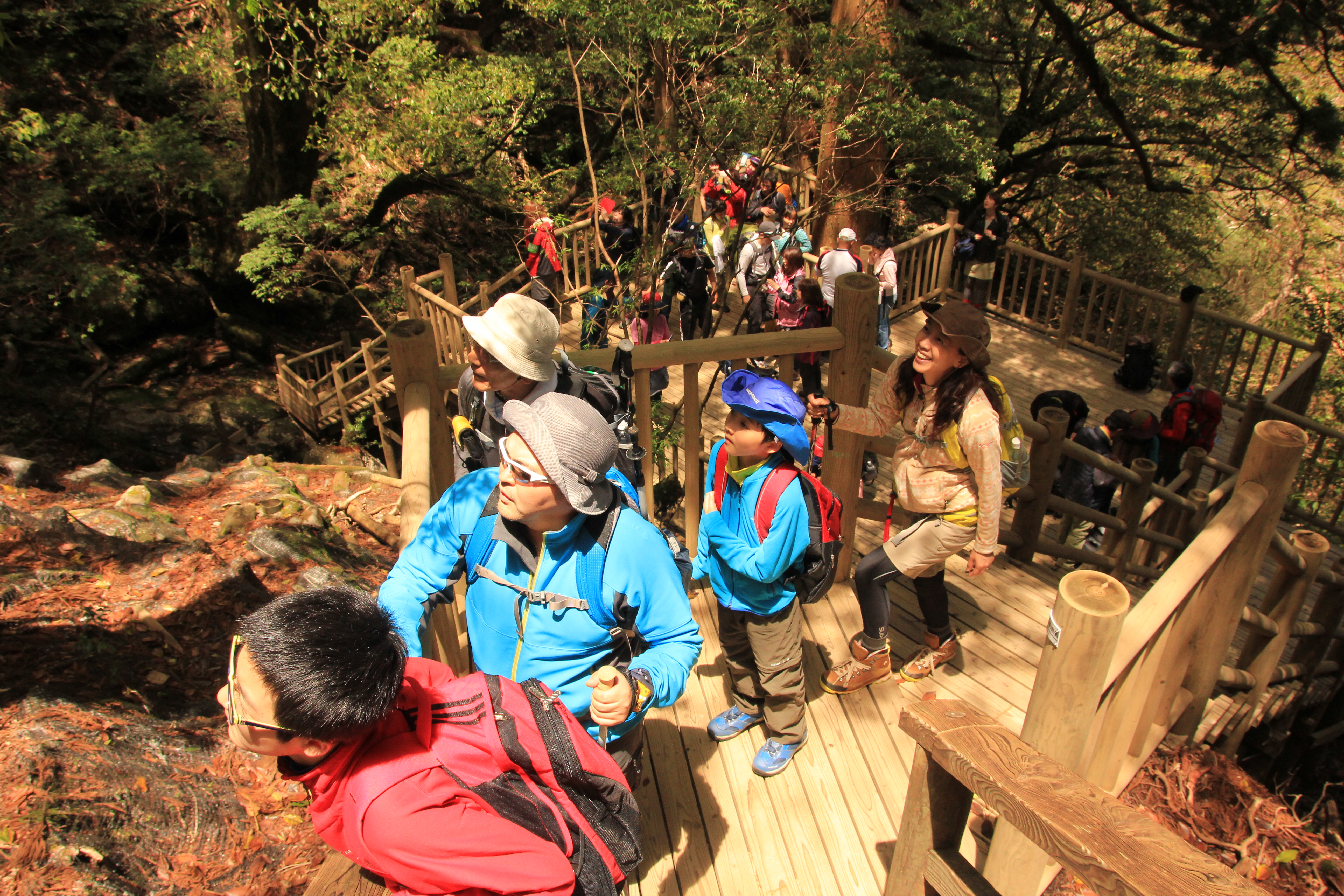 http://greenmessenger-yakushima.com/blog/IMG_8888.JPG