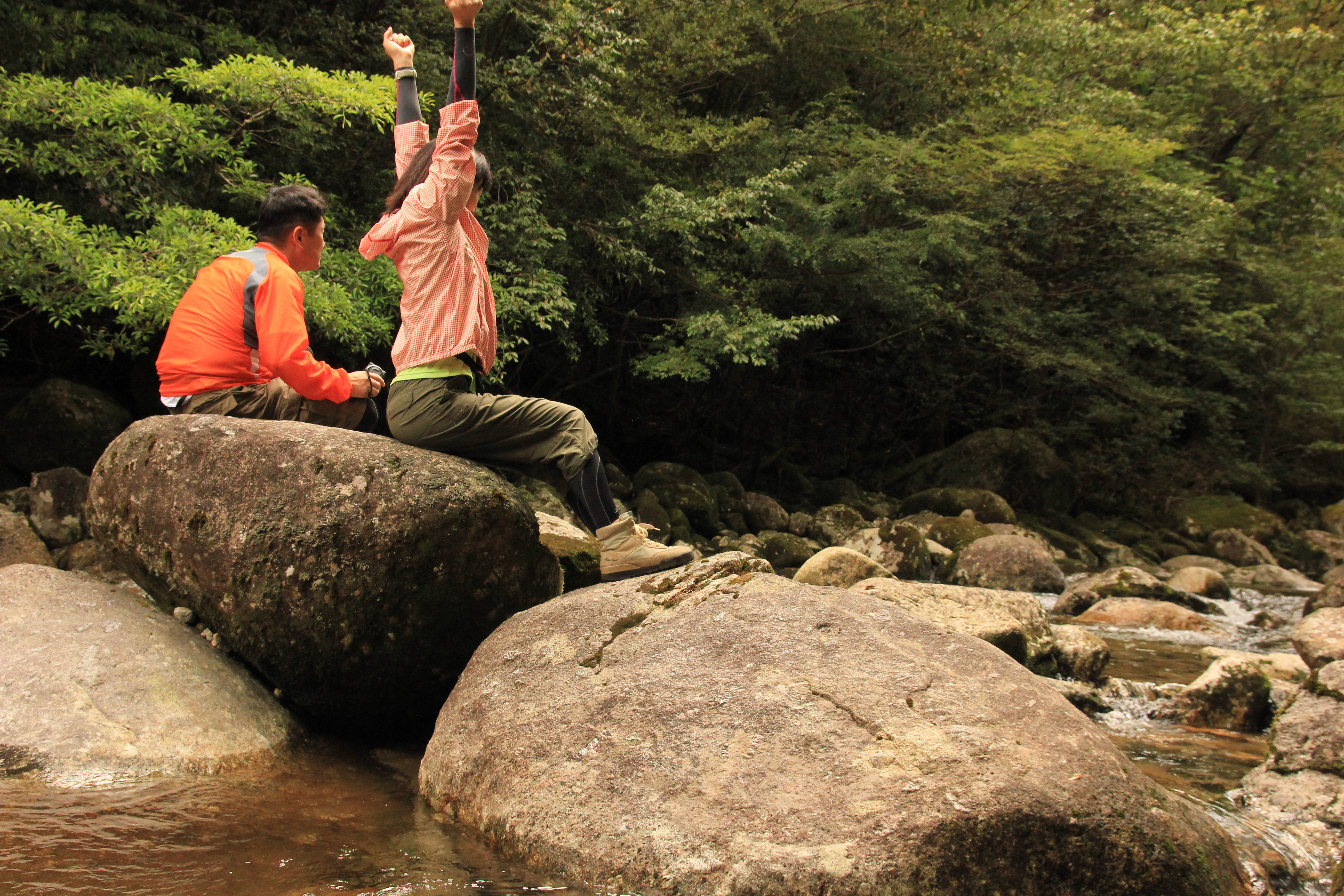 http://greenmessenger-yakushima.com/blog/IMG_8908.JPG