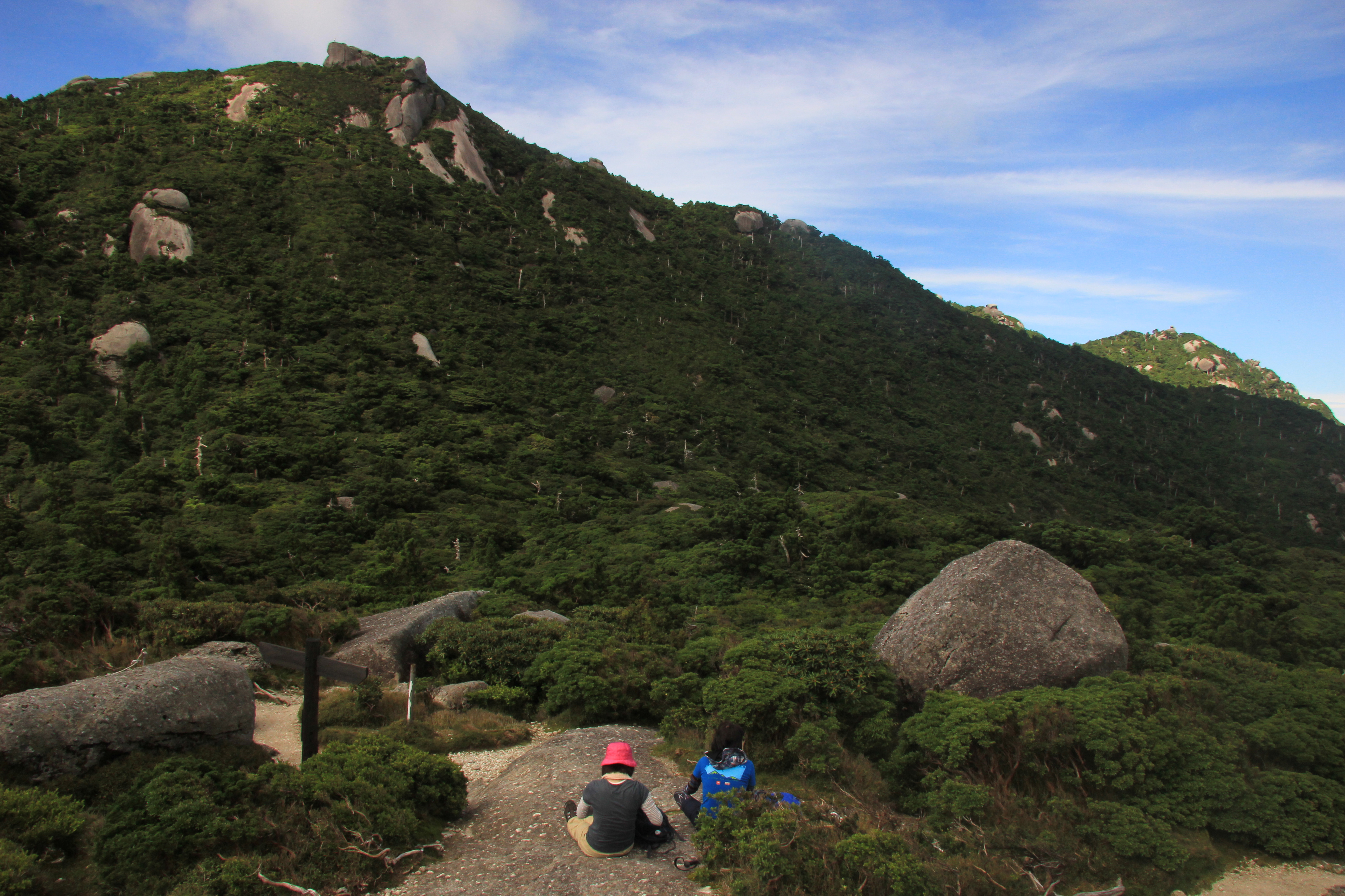 http://greenmessenger-yakushima.com/blog/IMG_9117.JPG