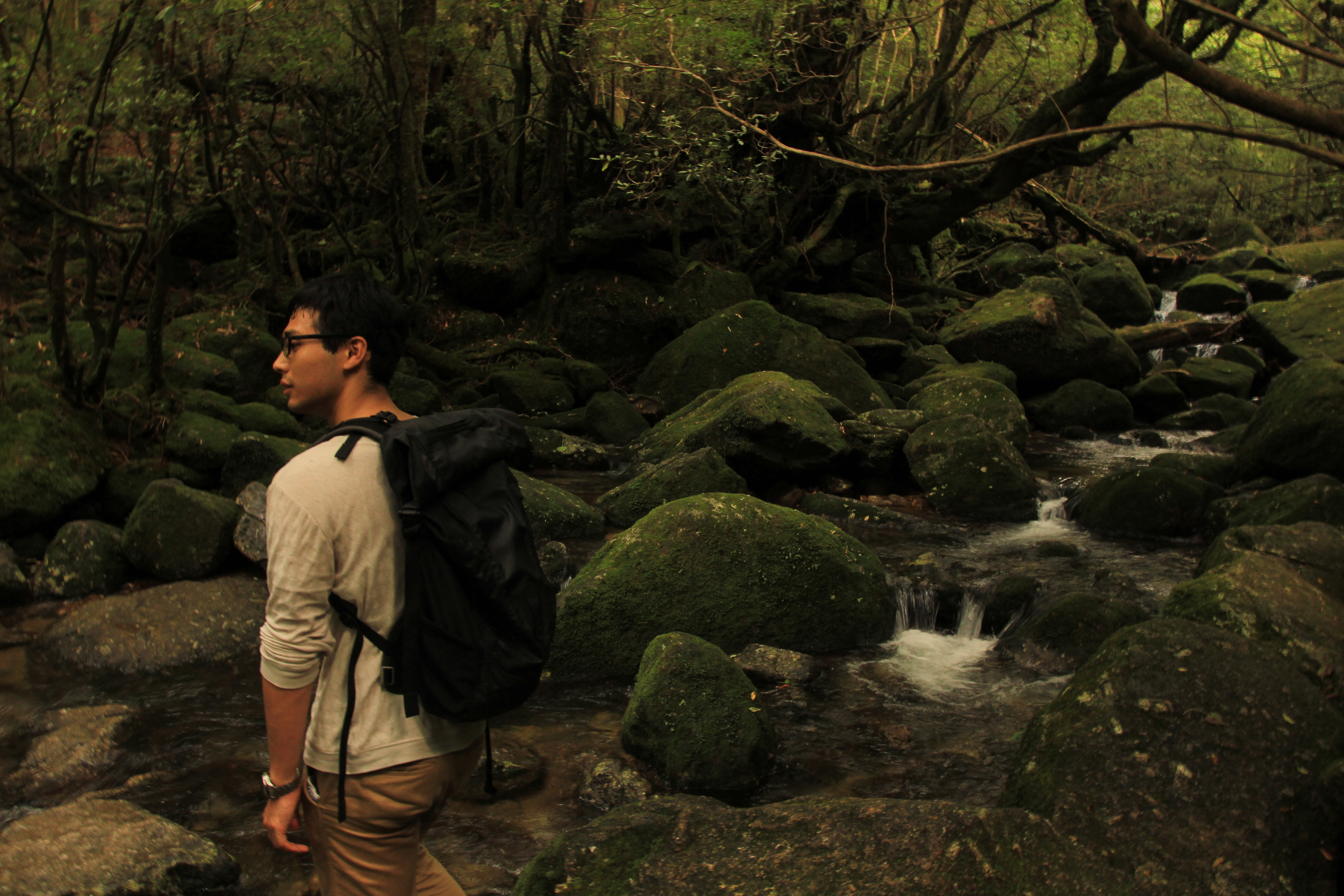 http://greenmessenger-yakushima.com/blog/IMG_9199.JPG