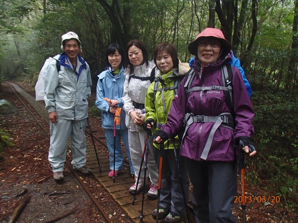 http://greenmessenger-yakushima.com/blog/P3200303.JPG