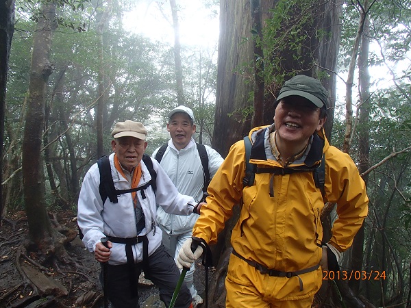 http://greenmessenger-yakushima.com/blog/P3240315.JPG