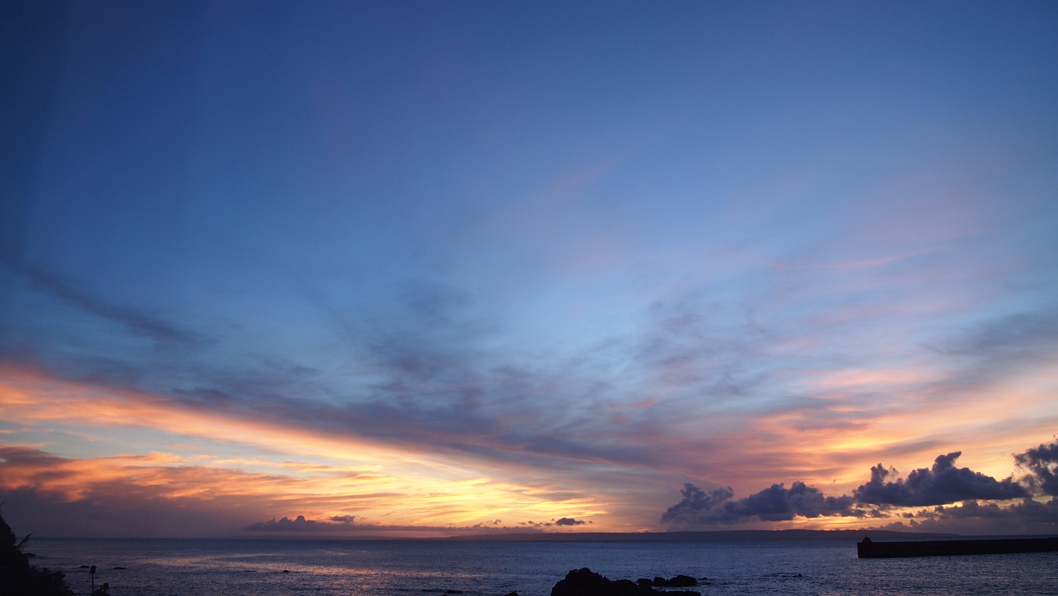 http://greenmessenger-yakushima.com/blog/P8251326.JPG