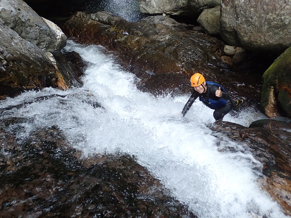 http://greenmessenger-yakushima.com/blog/PA202002.JPG