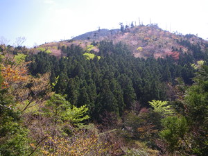 屋久島山.JPG