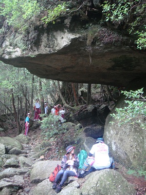 http://greenmessenger-yakushima.com/blog/assets_c/2012/07/DSC03849-thumb-600x800-1460.jpg