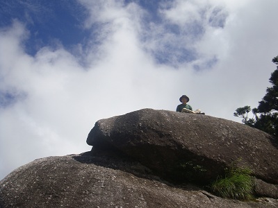 http://greenmessenger-yakushima.com/blog/assets_c/2012/08/DSC03889-thumb-600x450-1509.jpg